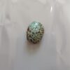 Nishapuri Irani Firoza Turquoise Stone 24 Carat