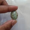 Nishapuri Irani Firoza Turquoise Stone 24 Carat