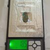 Nishapuri Irani Firoza Turquoise Stone 18 Carat